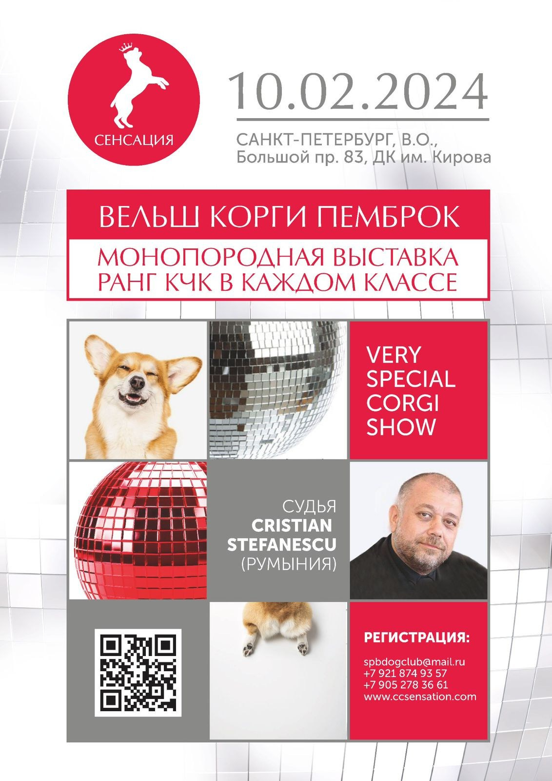 Итальянский кане корсо. Кинологический клуб РКФ РФСС СЕНСАЦИЯ