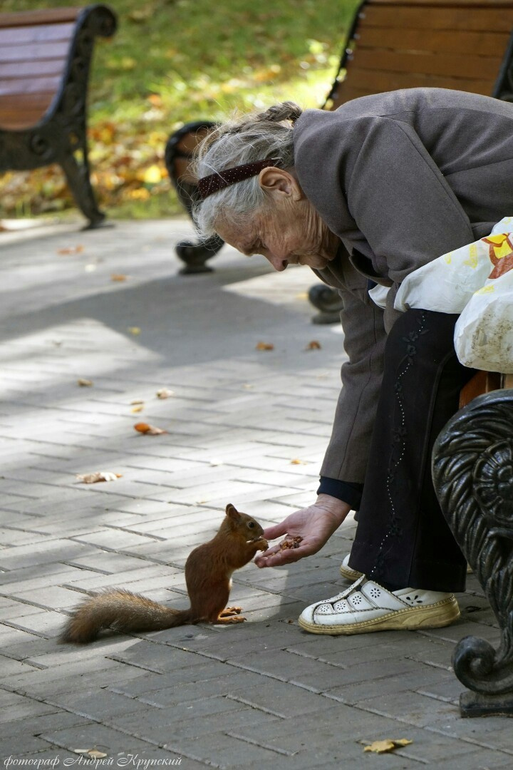 Платоновский парк города Тулы. Фотограф в Туле Крупский АнДРей. Фотостудия «КАДР71» в Туле