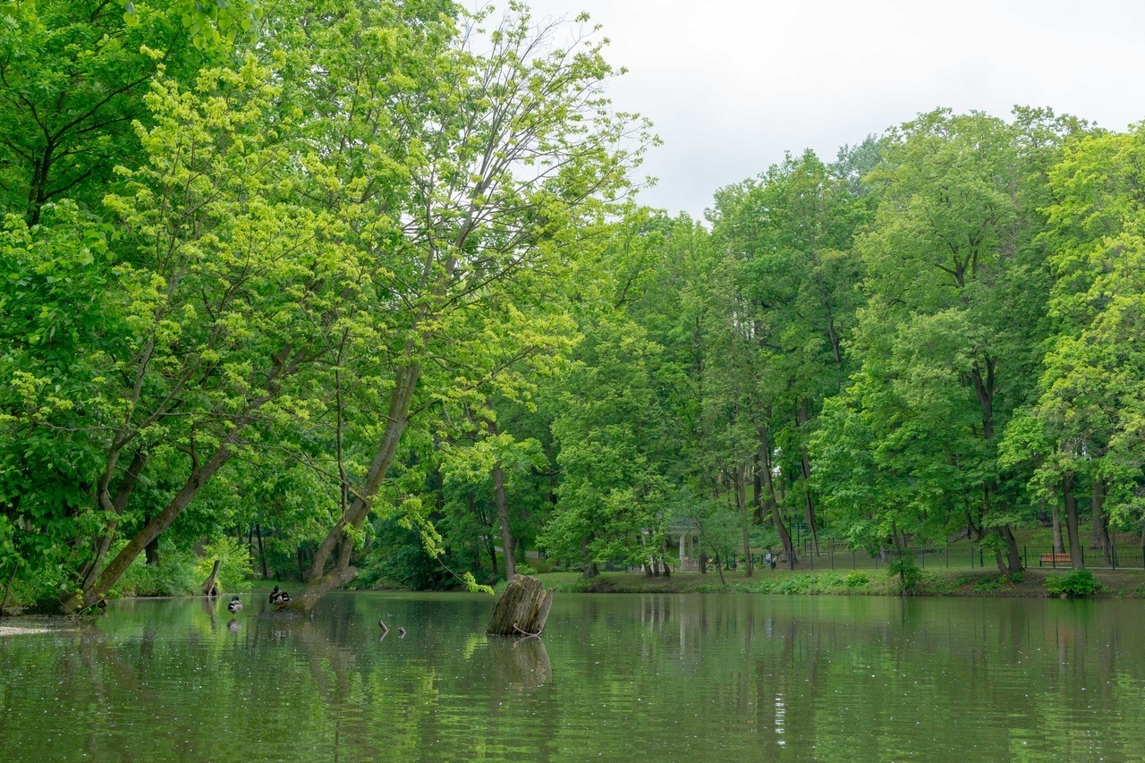Платоновский парк города Тулы. Фотограф в Туле Крупский АнДРей. Фотостудия «КАДР71» в Туле
