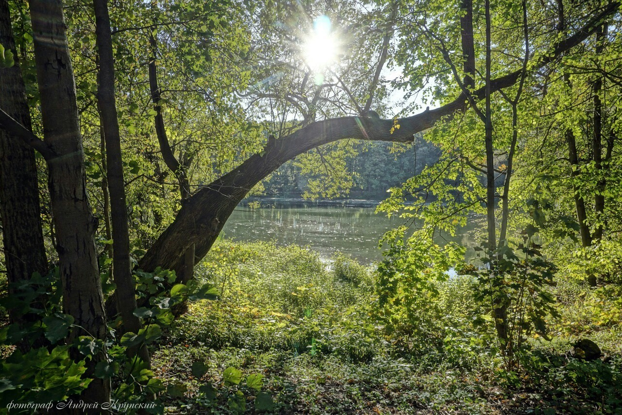 Платоновский парк города Тулы. Фотограф в Туле Крупский АнДРей. Фотостудия «КАДР71» в Туле