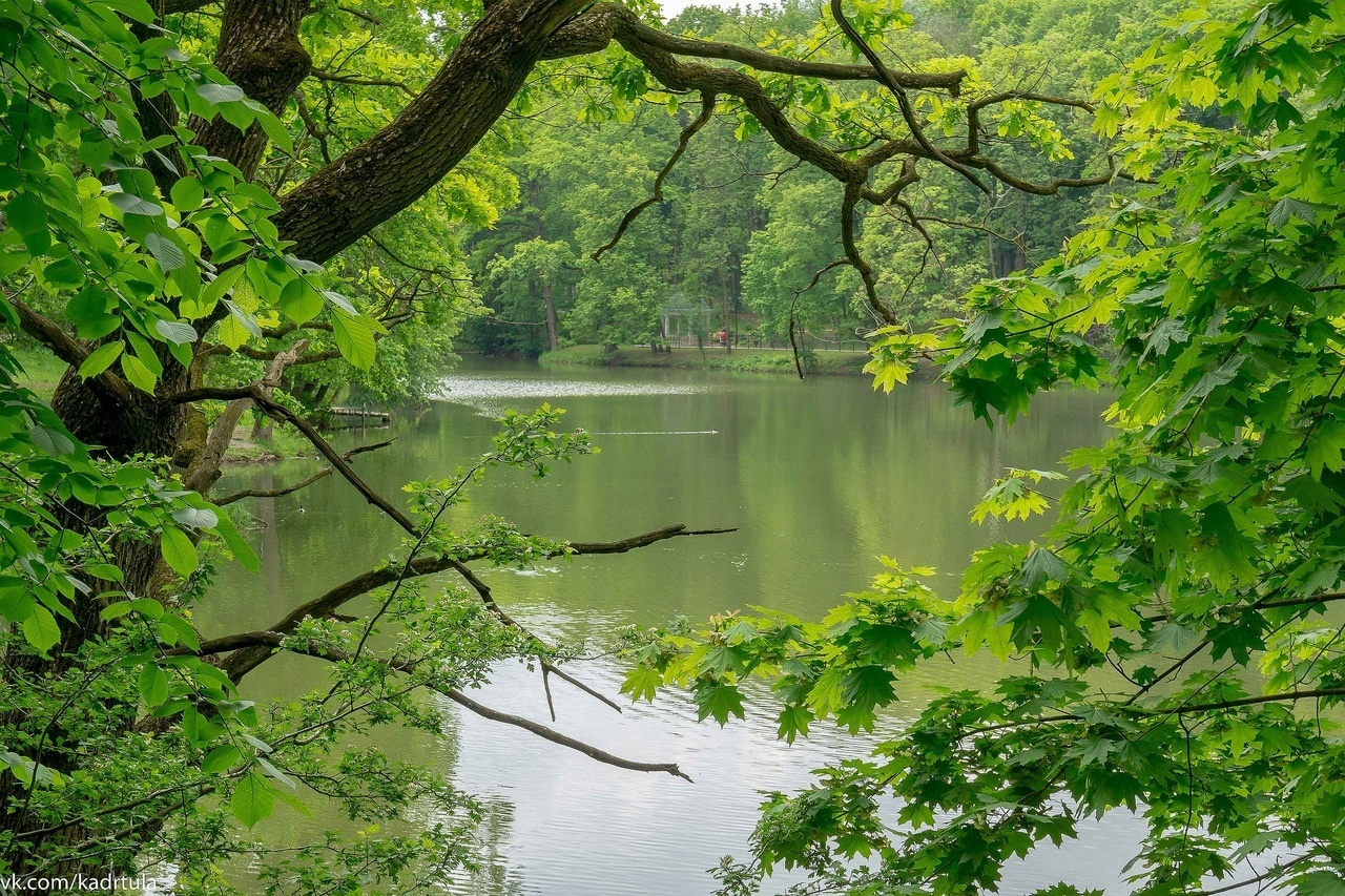 Платоновский парк города Тулы. Фотограф в Туле Крупский АнДРей. Фотостудия «КАДР71» в Туле
