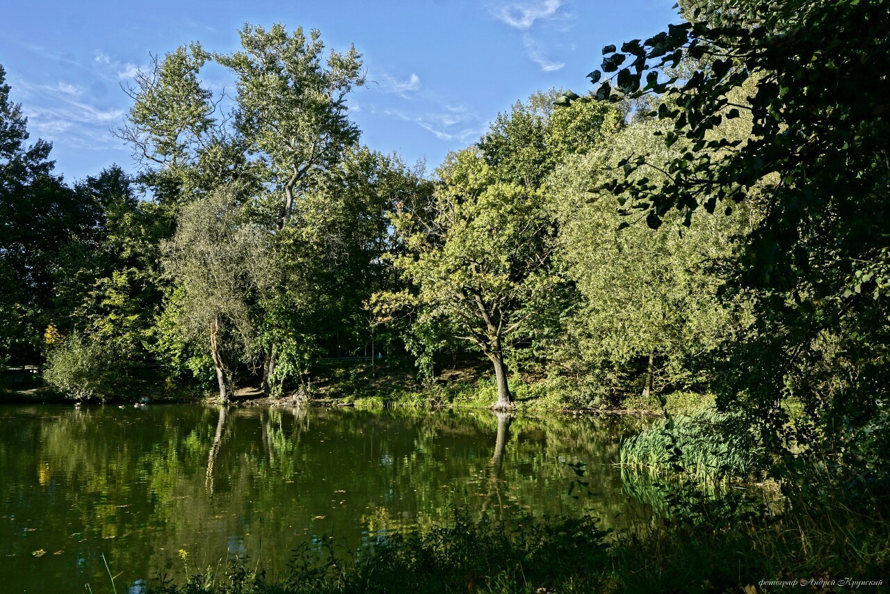 Платоновский парк города Тулы. Фотограф в Туле Крупский АнДРей. Фотостудия «КАДР71» в Туле