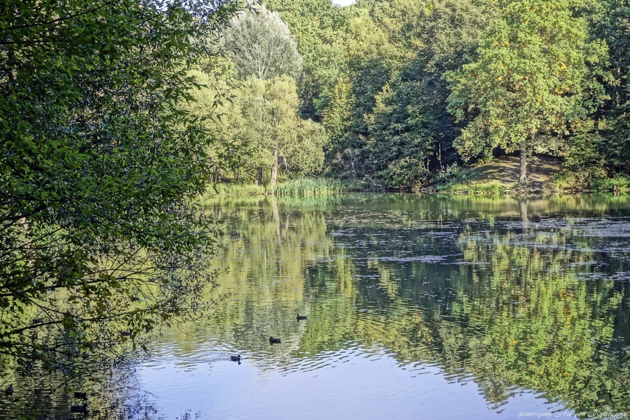 Платоновский парк города Тулы. Фотограф в Туле Крупский АнДРей. Фотостудия «КАДР71» в Туле