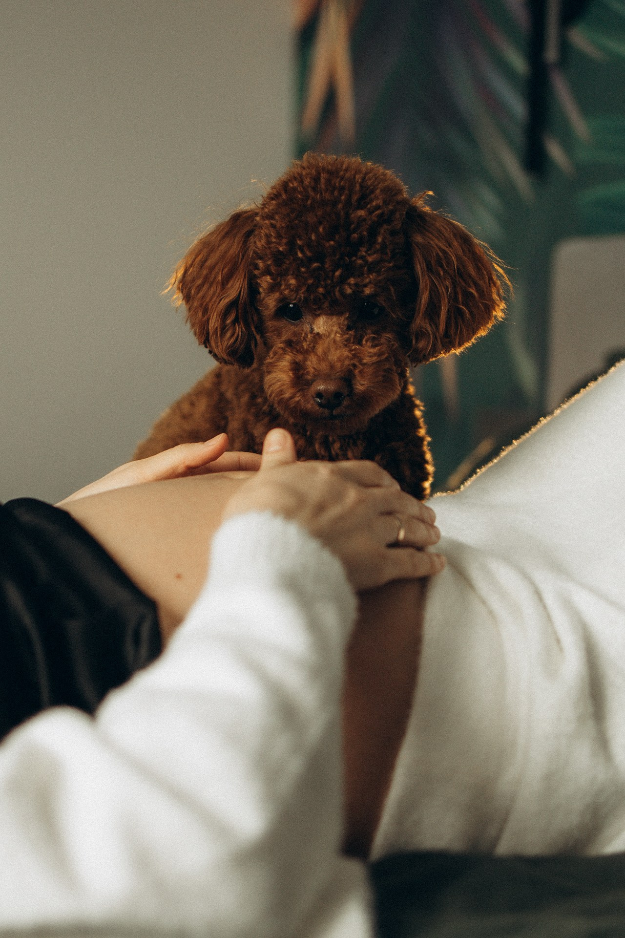 Тихое счастье. Семейный фотограф в Ижевске Даша Денисова