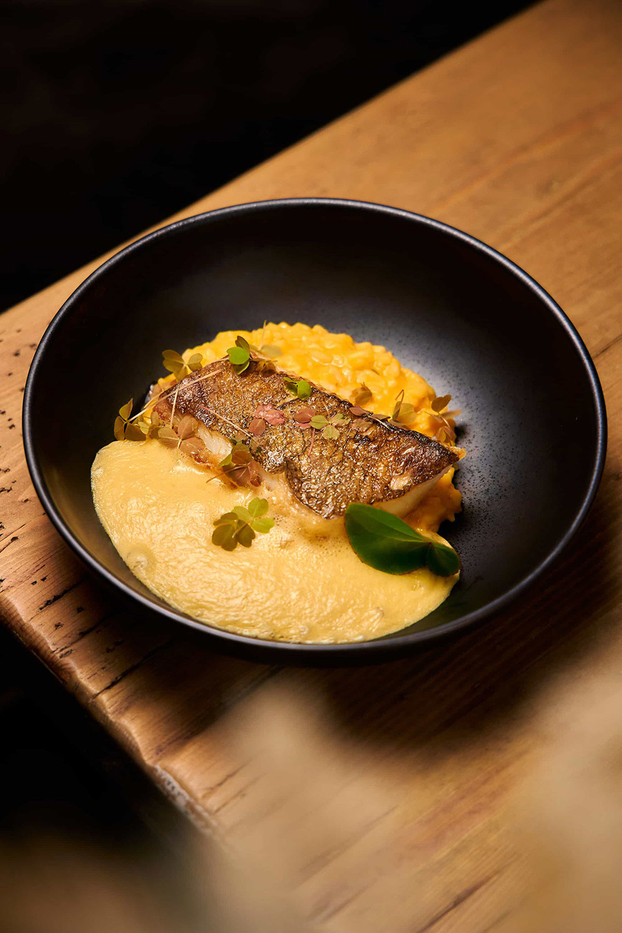 Food съемка. Night2Day Санкт-Петербург