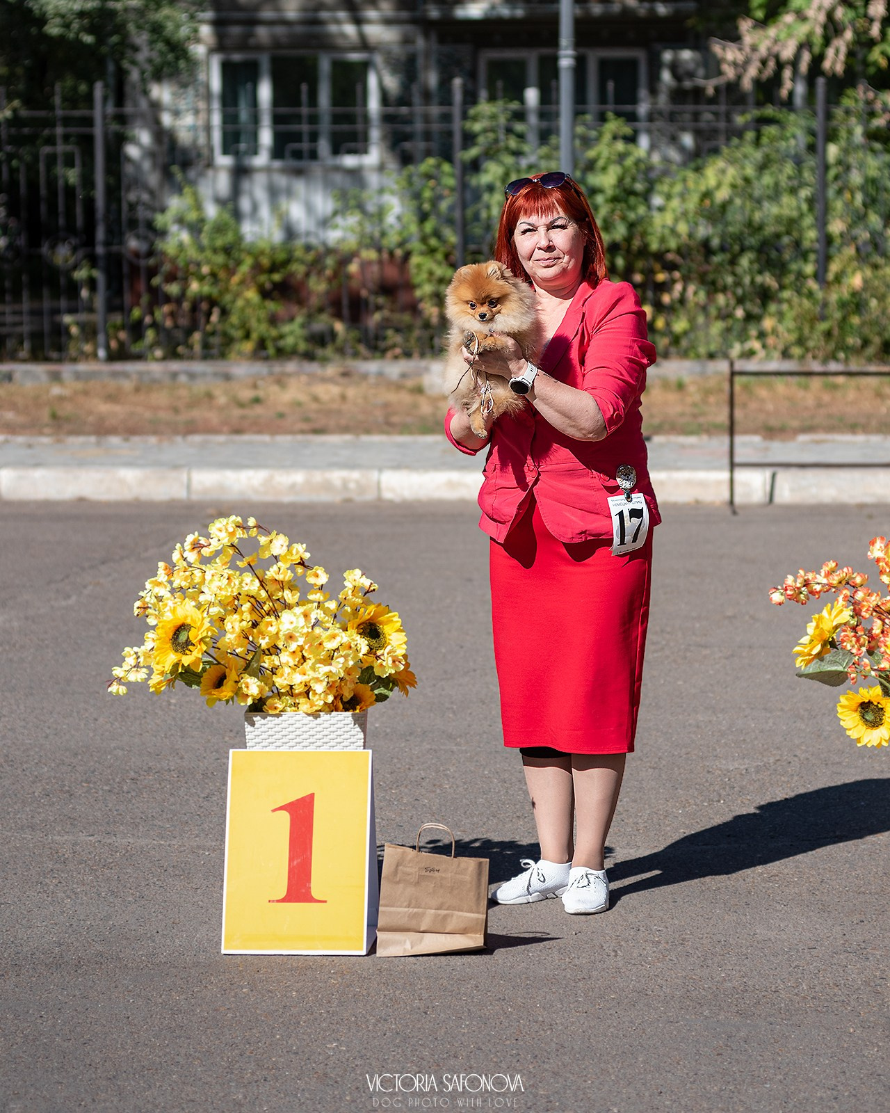 15 сентября 2024. Благовещенск. Монопородная выставка шпицев. Фотограф анималист Благовещенск. Сафонова Виктория