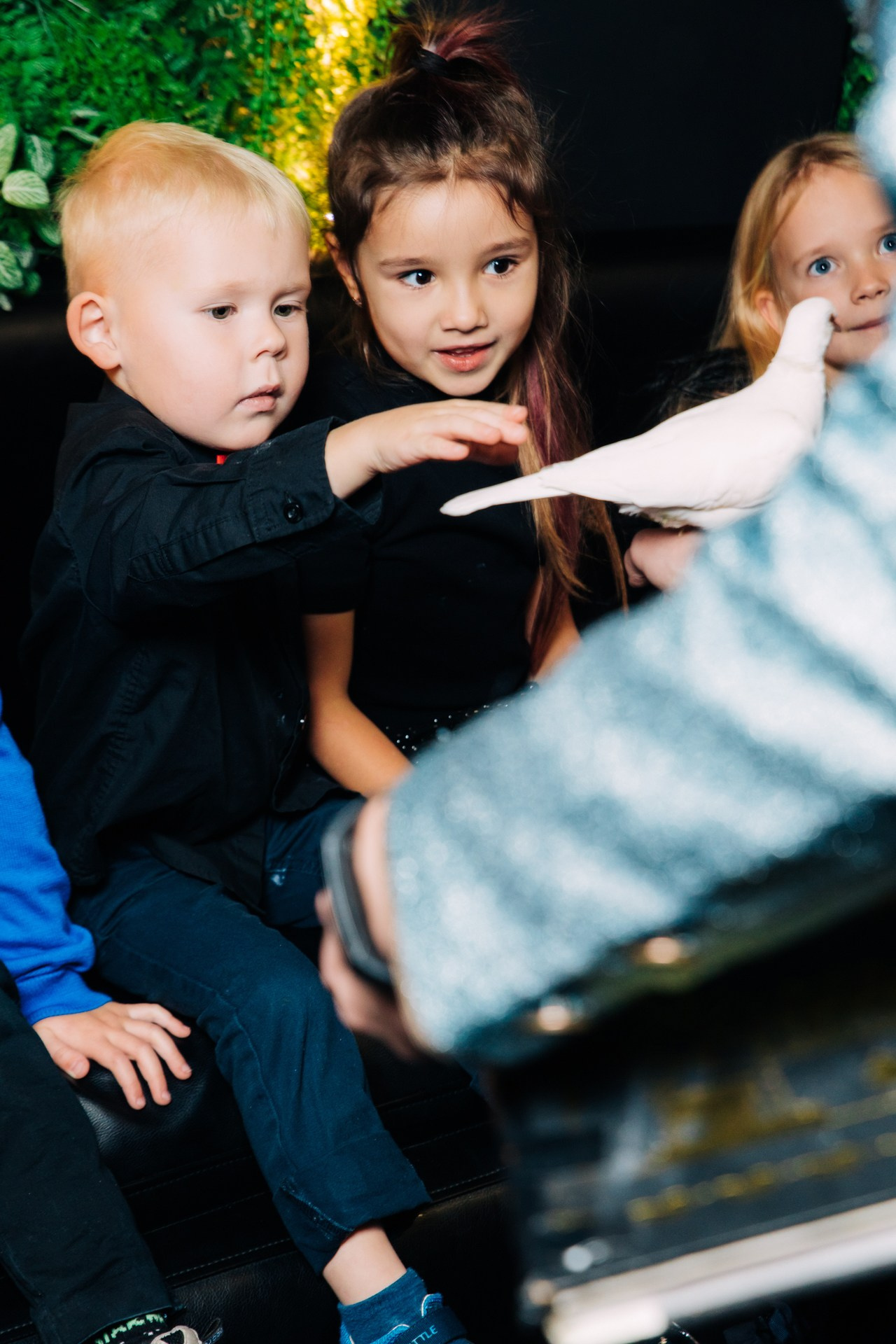 День Рождения. Фотограф Перминов Никита СПБ