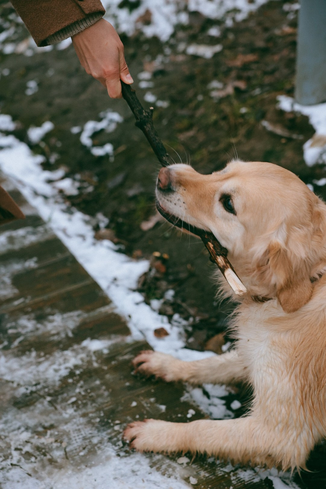 Family. Фотограф Нижний Новгород