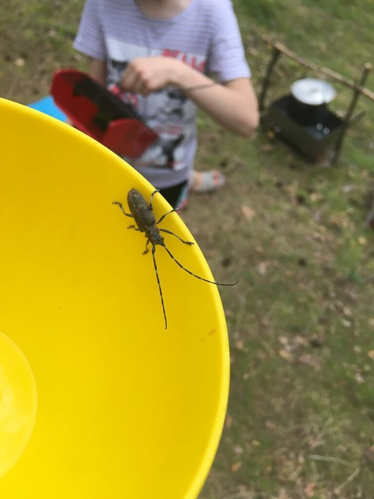 Походы. Полина Арт