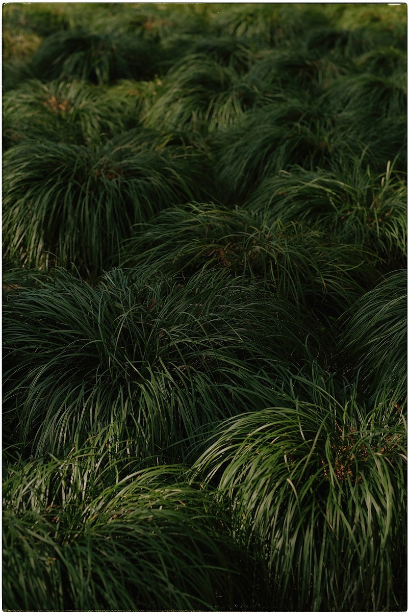 Китай. Портретный и репортажный фотограф в Санкт-Петербурге Дарья Сибирякова