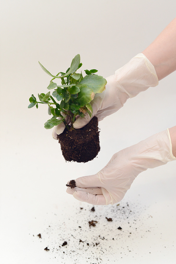 Выставка ''Черный ящик'' с 16 марта по 16 апреля 2021 года