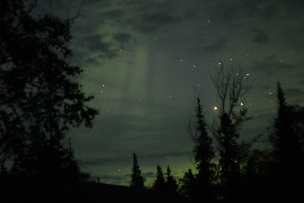 Арина Терехова