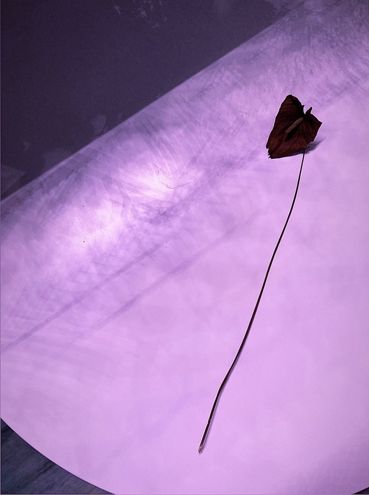 Выставка ''Черный ящик'' с 16 марта по 16 апреля 2021 года