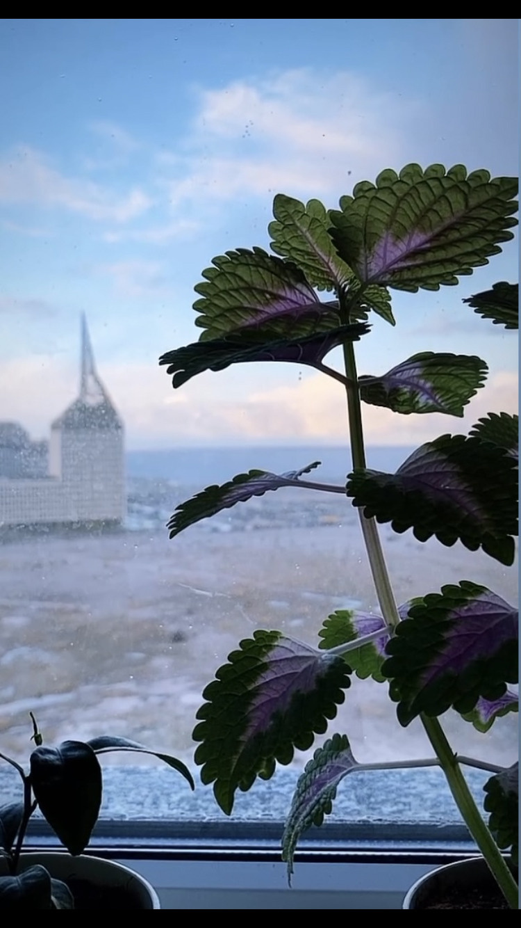 Выставка ''Черный ящик'' с 16 марта по 16 апреля 2021 года