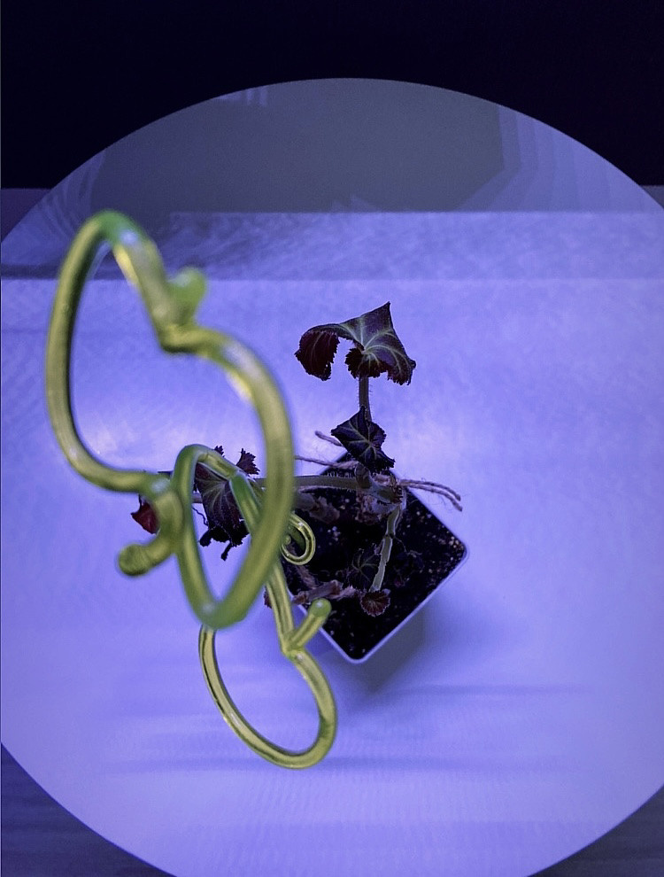 Выставка ''Черный ящик'' с 16 марта по 16 апреля 2021 года