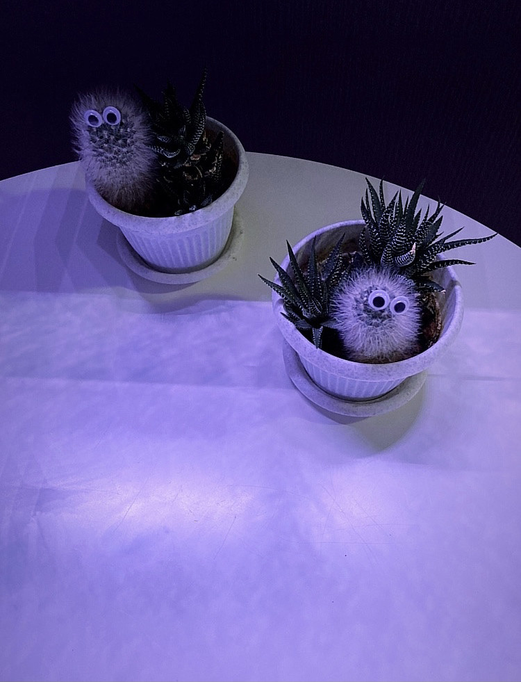 Выставка ''Черный ящик'' с 16 марта по 16 апреля 2021 года