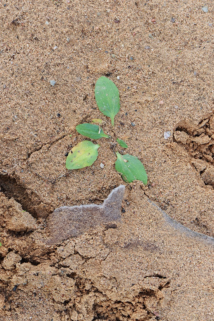 Выставка ''Черный ящик'' с 16 марта по 16 апреля 2021 года