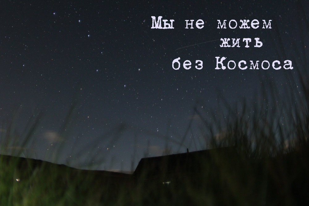 Арина Терехова