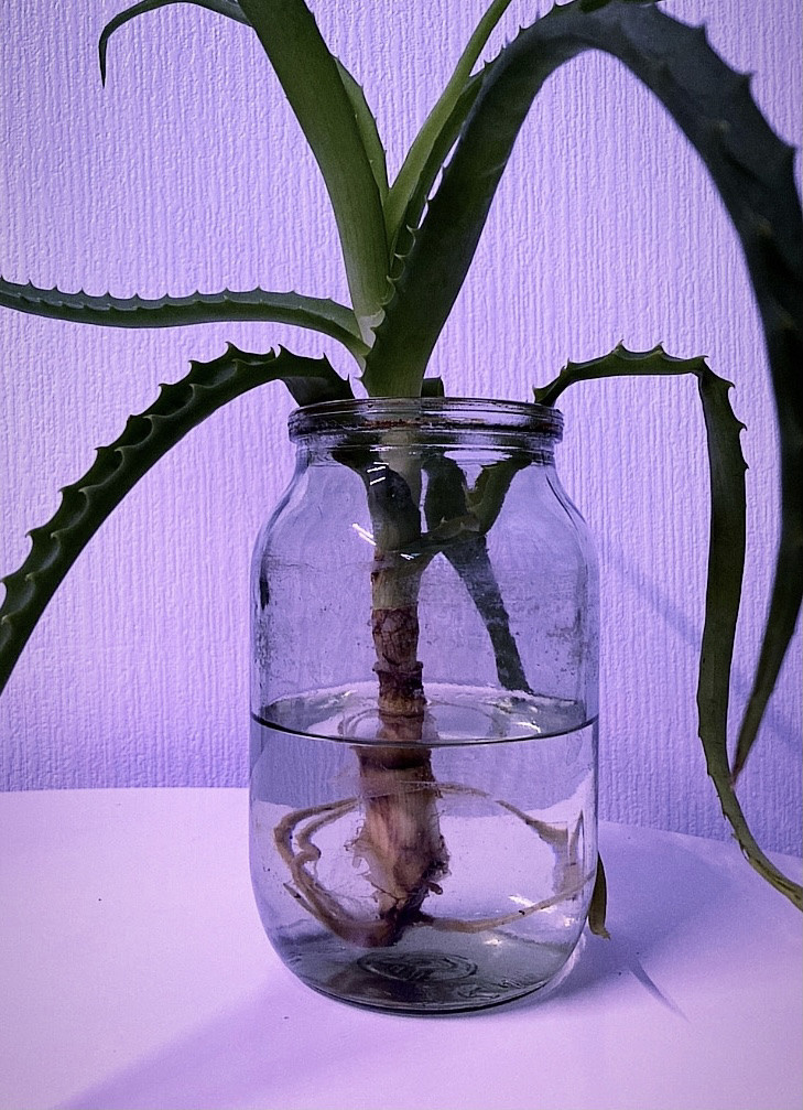 Выставка ''Черный ящик'' с 16 марта по 16 апреля 2021 года