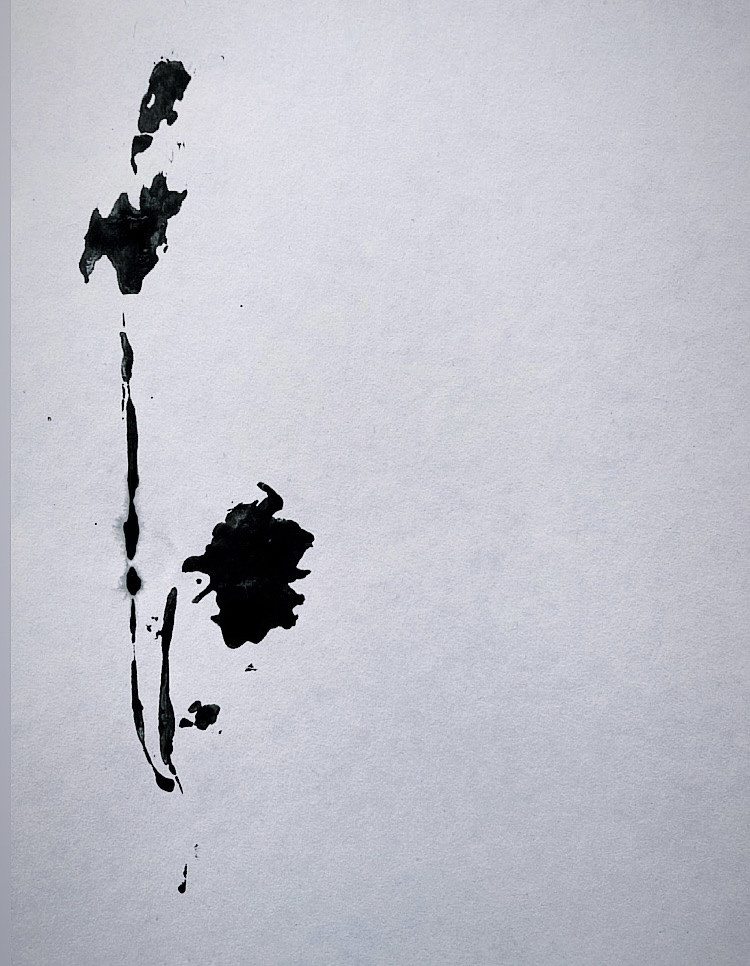 Выставка ''Черный ящик'' с 16 марта по 16 апреля 2021 года