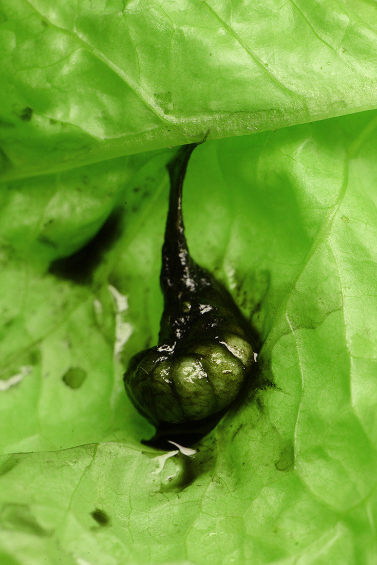 Выставка ''Черный ящик'' с 16 марта по 16 апреля 2021 года