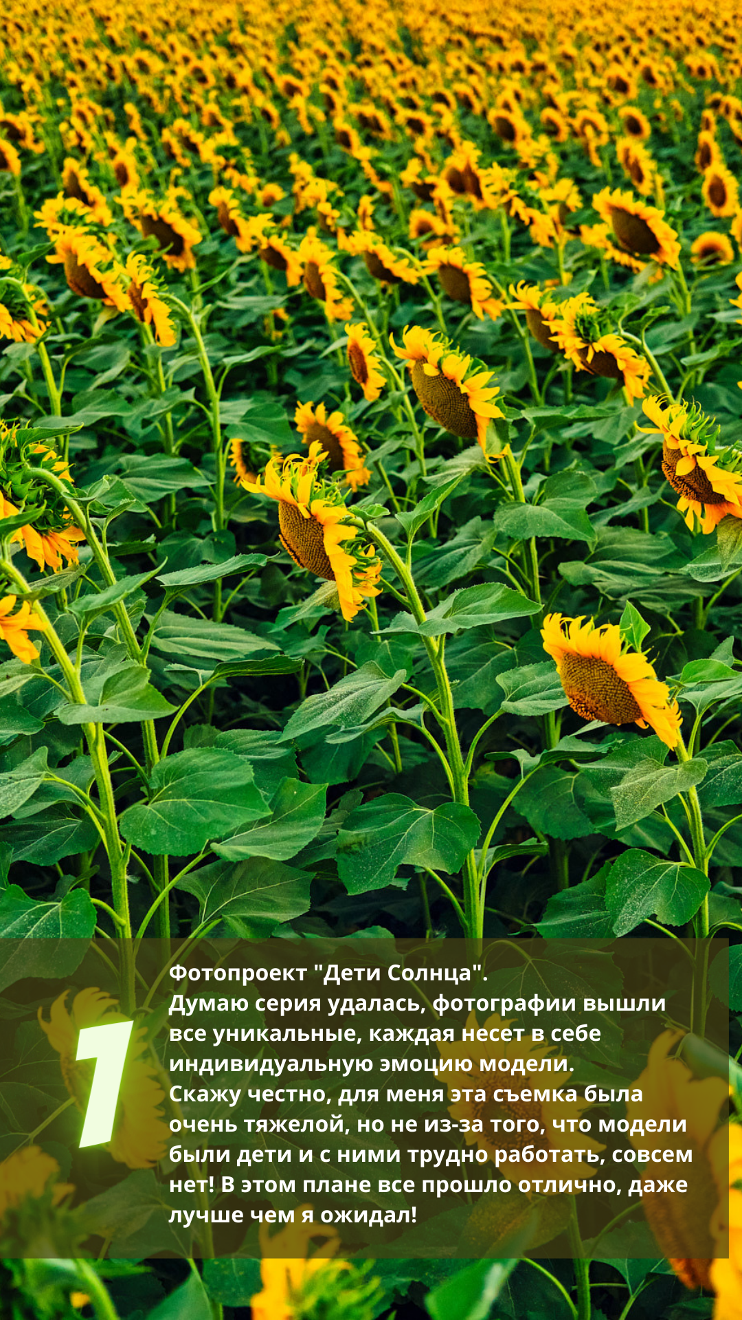 Фотопроект "Книга Аллергика", фотографа Аксенова Алексея. Бизнес, мужской фотограф в Краснодаре | Аксёнов Алексей Владимирович