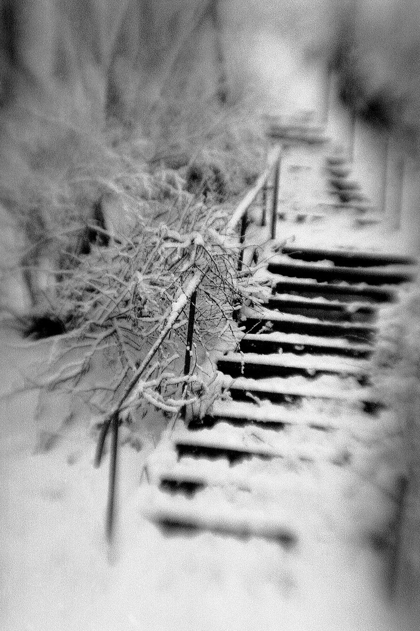 РАЗНОЕ. Андрей Пономарёв