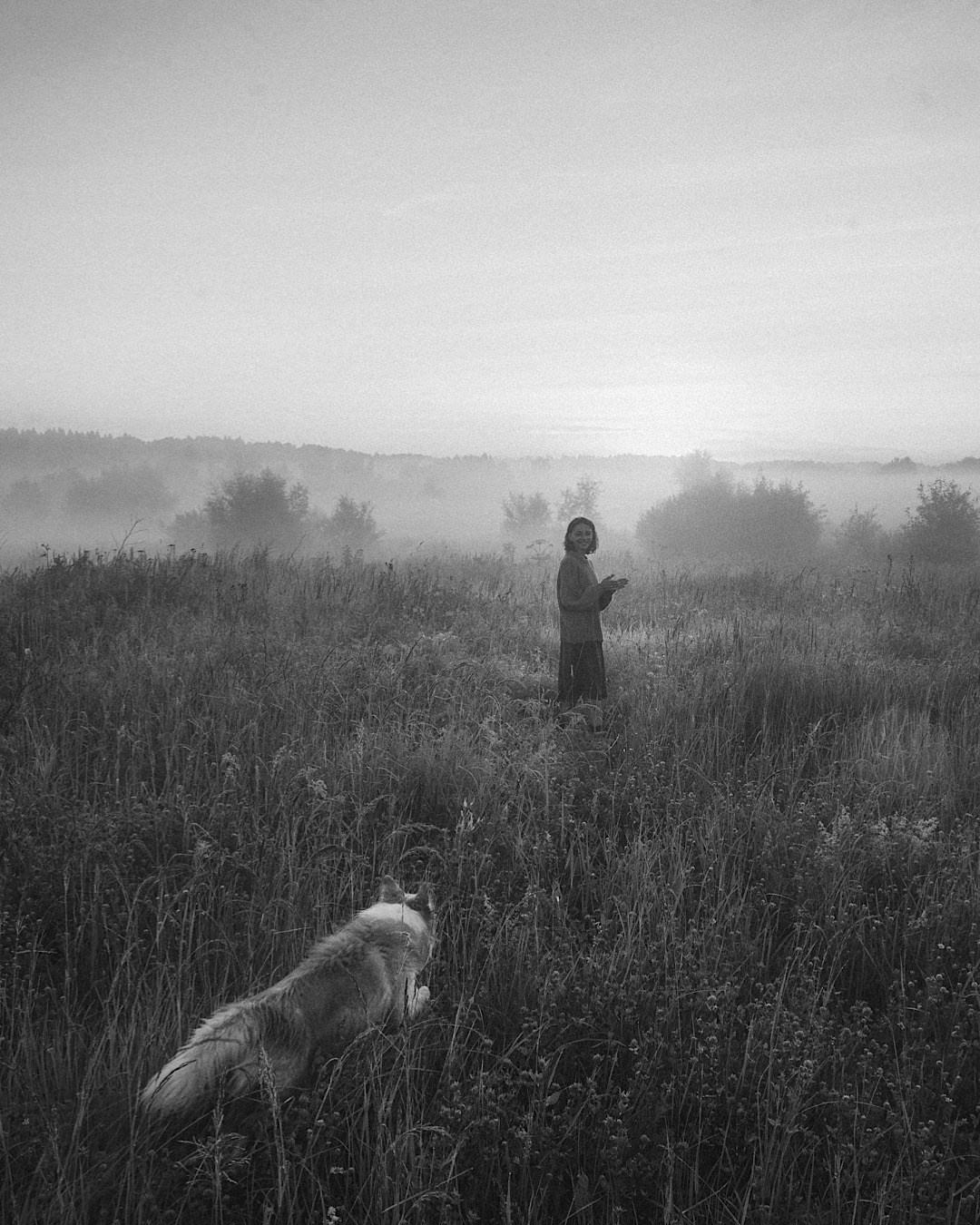 Рина и Марси. Фотограф анималист в Москве и Санкт-Петербурге Свиридова Анна