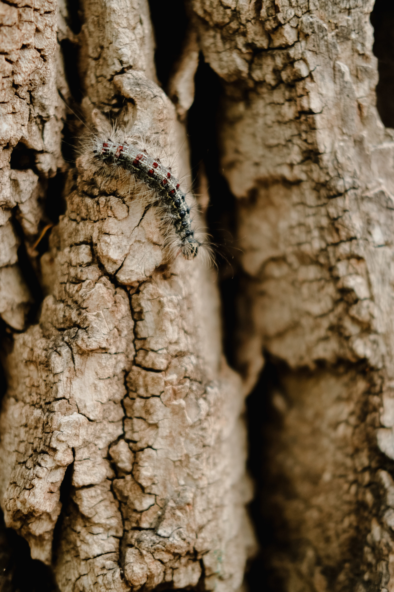 Ксюша. Фотограф Ёля Ильясова Оренбург