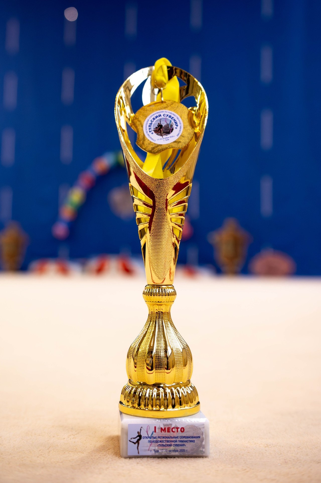 Спортивный фотограф Тула. Спортивный фотограф в Туле и Тульской области. Файсханова Фото Спорт