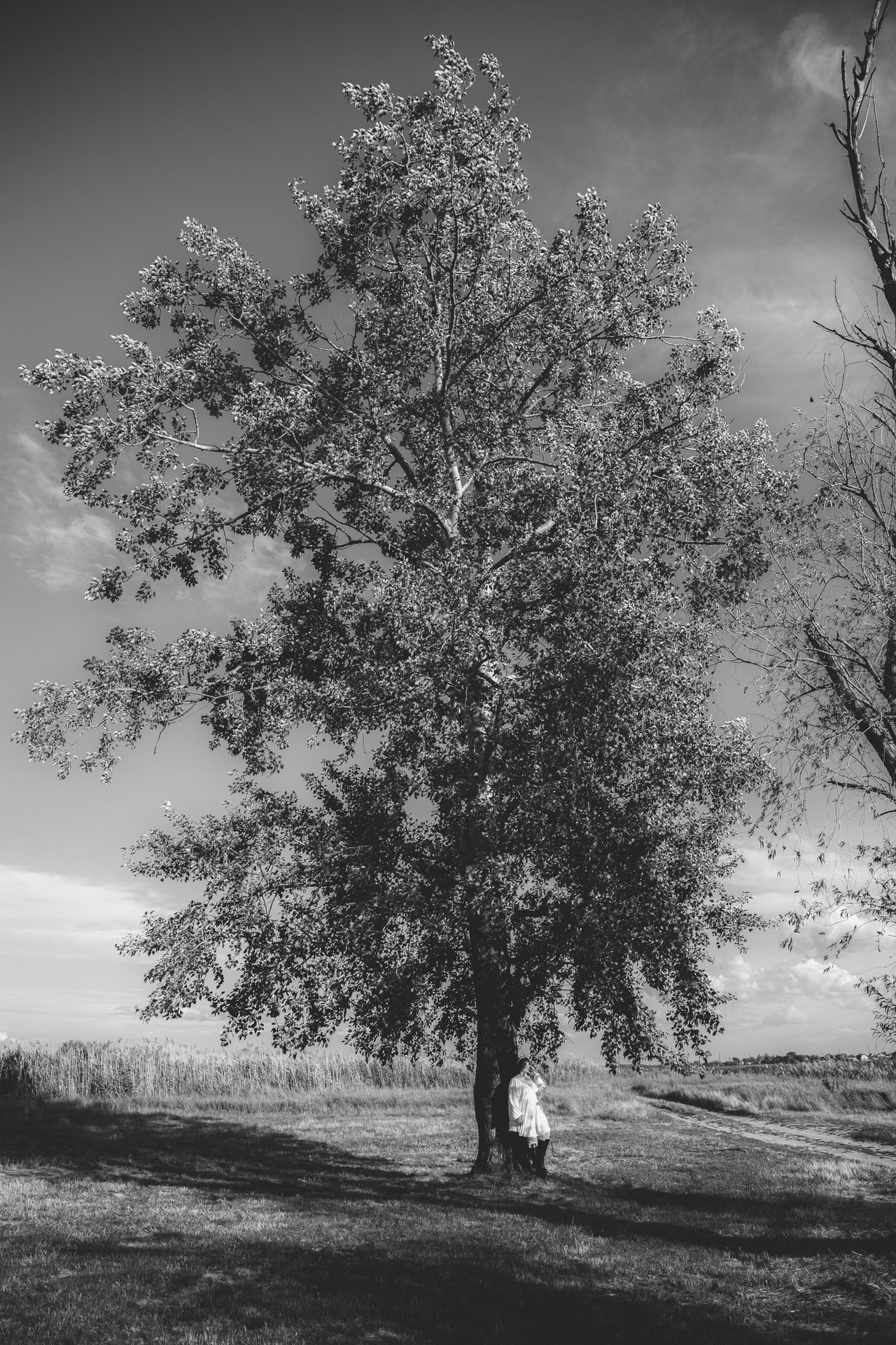 Отзывы. Фотограф в Брюховецком районе Сокол (Семенкова) Виктория