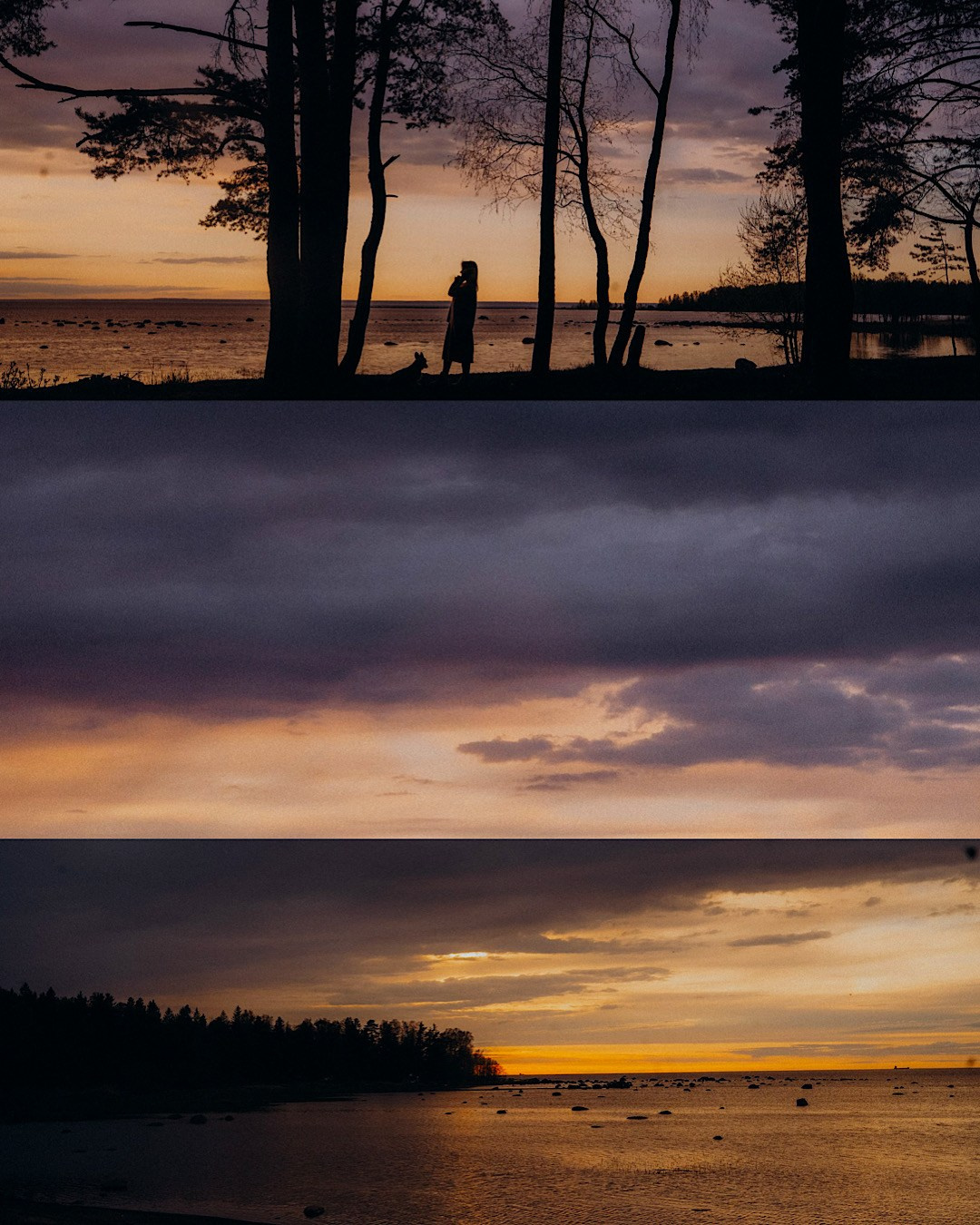 Катя и Берта. Фотограф анималист в Москве и Санкт-Петербурге Свиридова Анна
