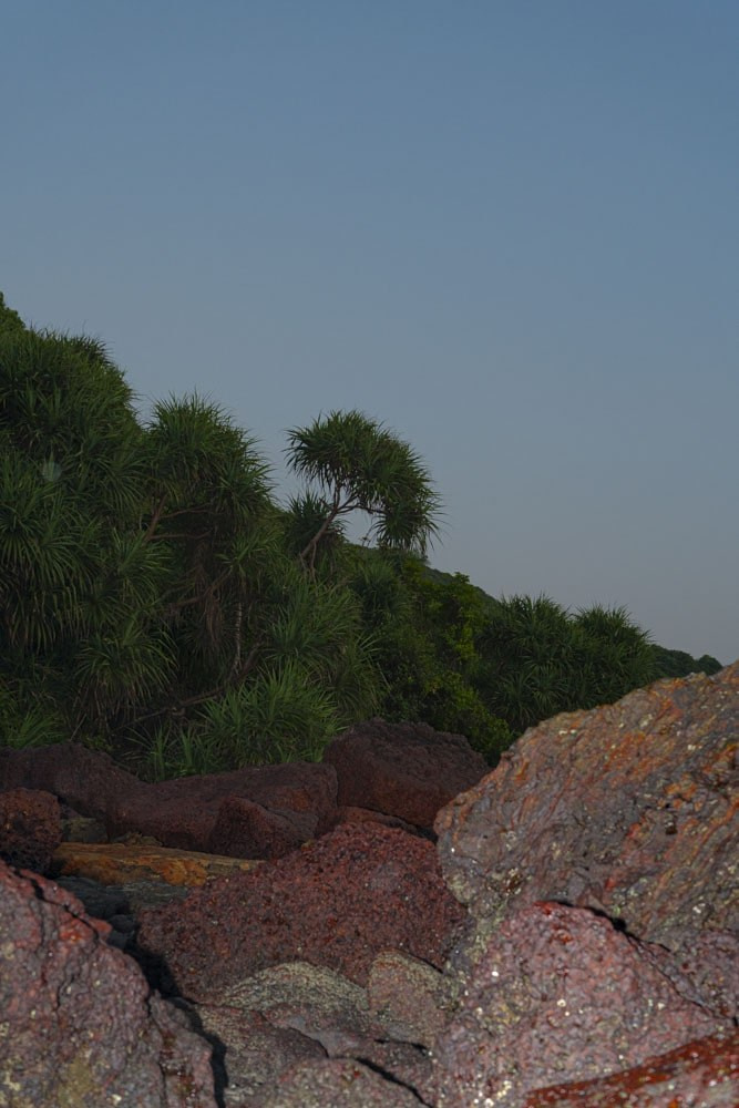 Индия. Alena Ahmadullina