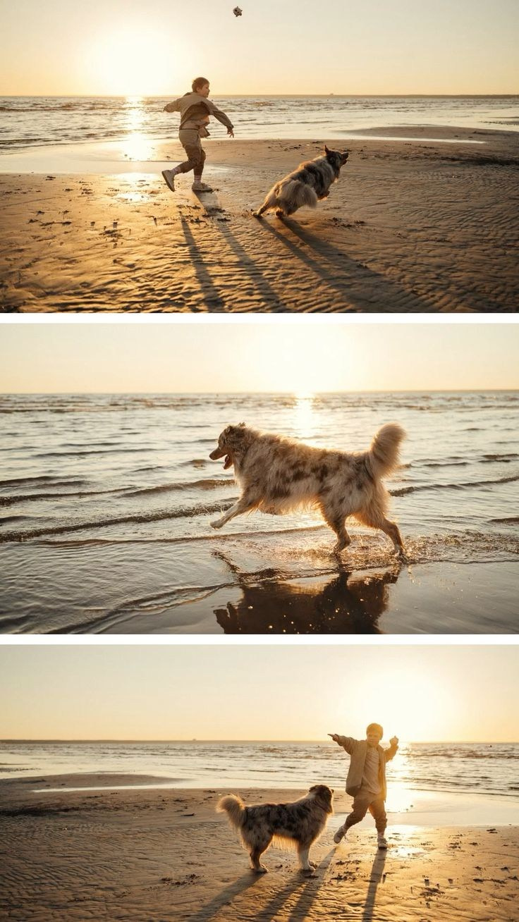 Семейная Фотосессия «День из жизни» в Санкт-Петербурге. Фотограф в Санкт-Петербурге, Анна Скворцова