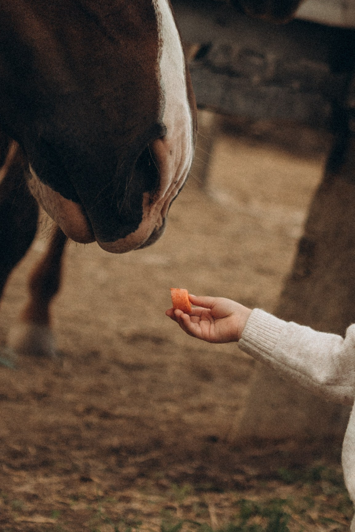❤️. Семейный фотограф в Москве Жукова Анна