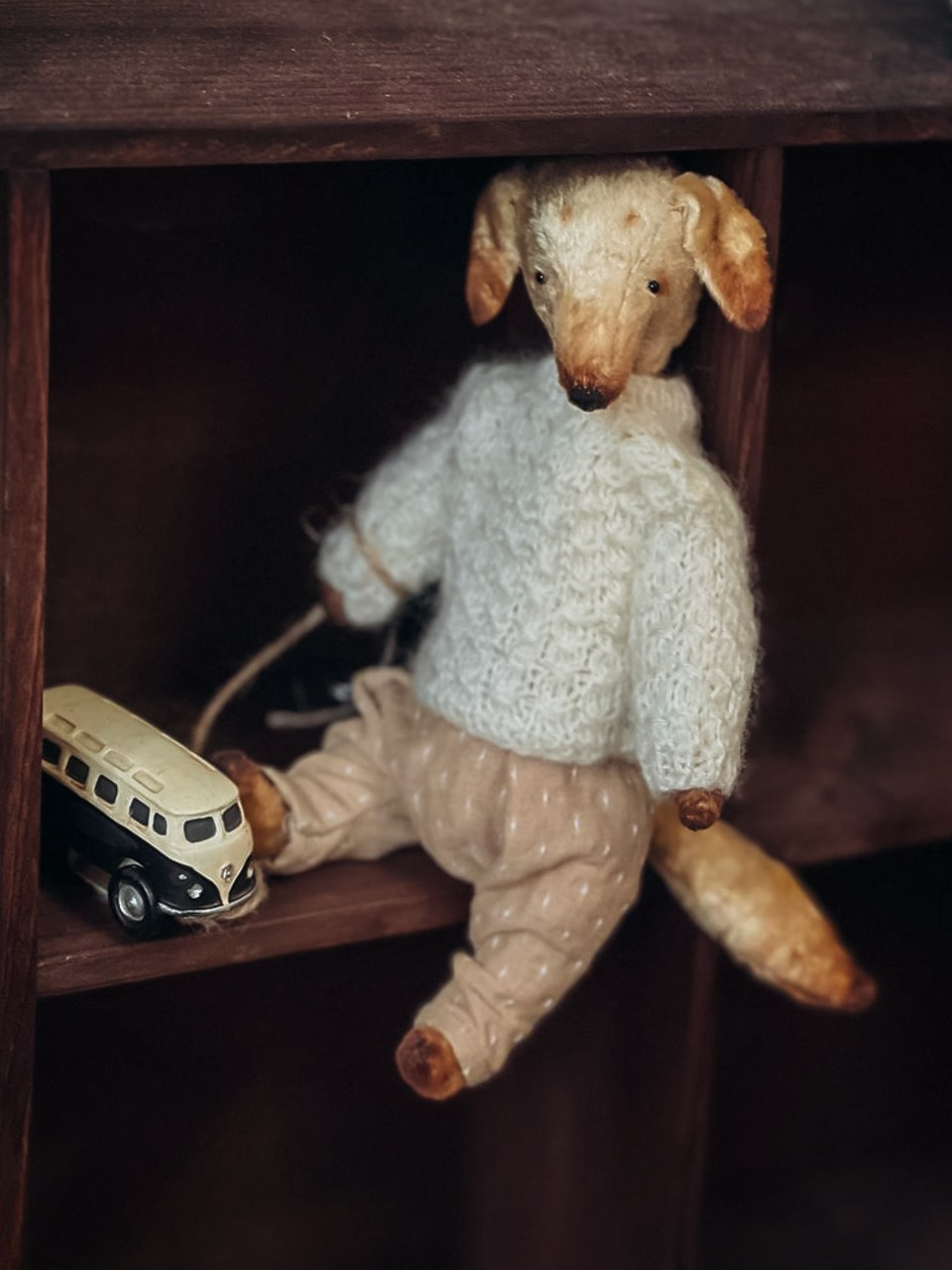 Тедди. Фотограф Ольга Сальманович