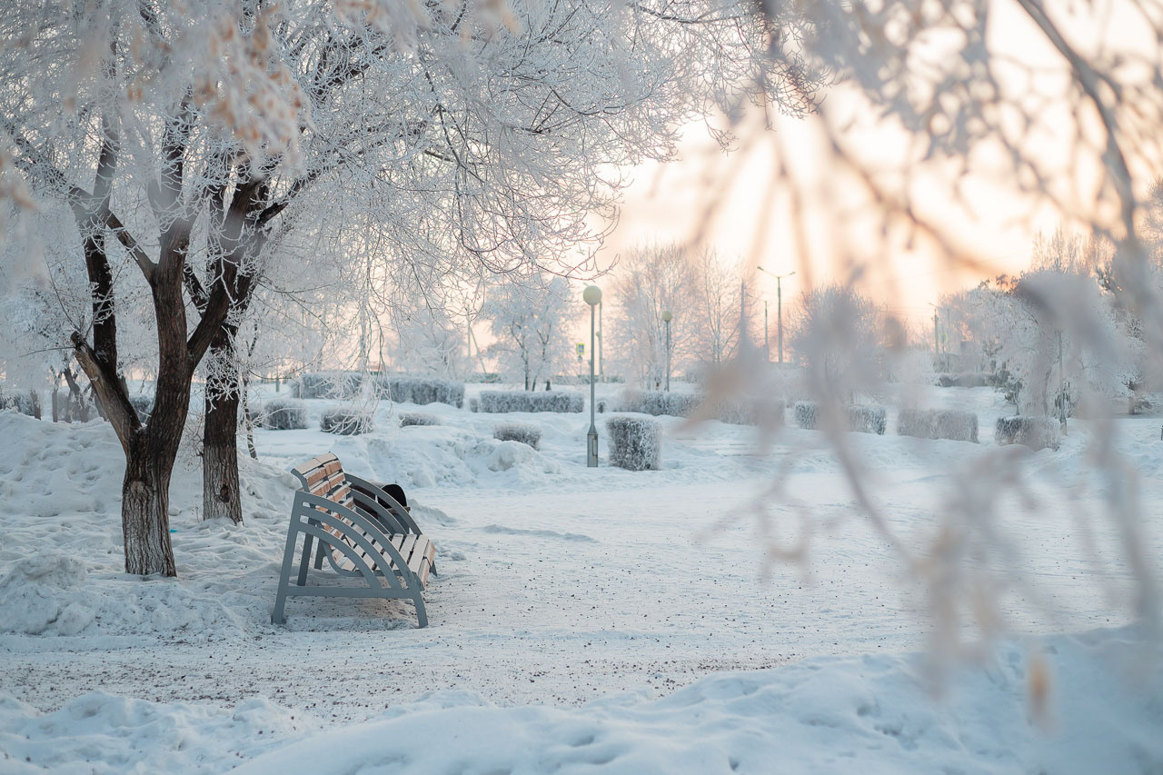 Природа. Семейный и детский фотограф, фотограф новорожденных в Новокузнецке Ири