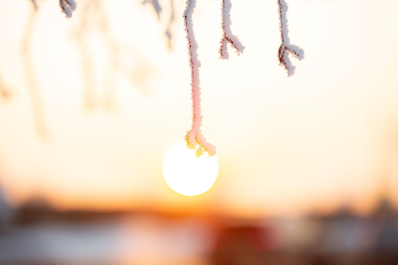 Природа. Семейный и детский фотограф, фотограф новорожденных в Новокузнецке Ири