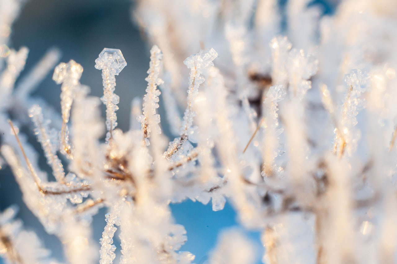 Природа. Семейный и детский фотограф, фотограф новорожденных в Новокузнецке Ири