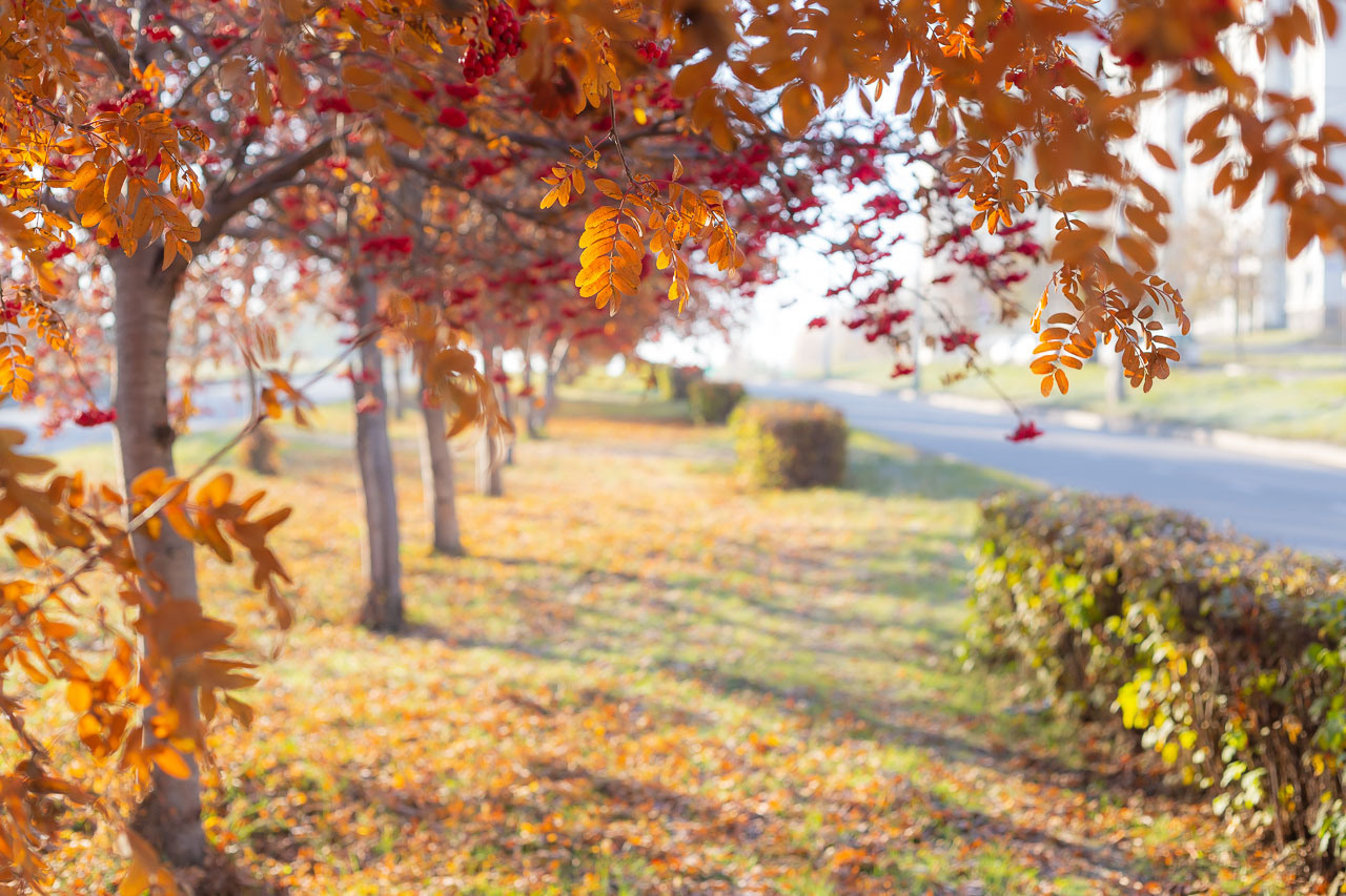 Природа. Семейный и детский фотограф, фотограф новорожденных в Новокузнецке Ири