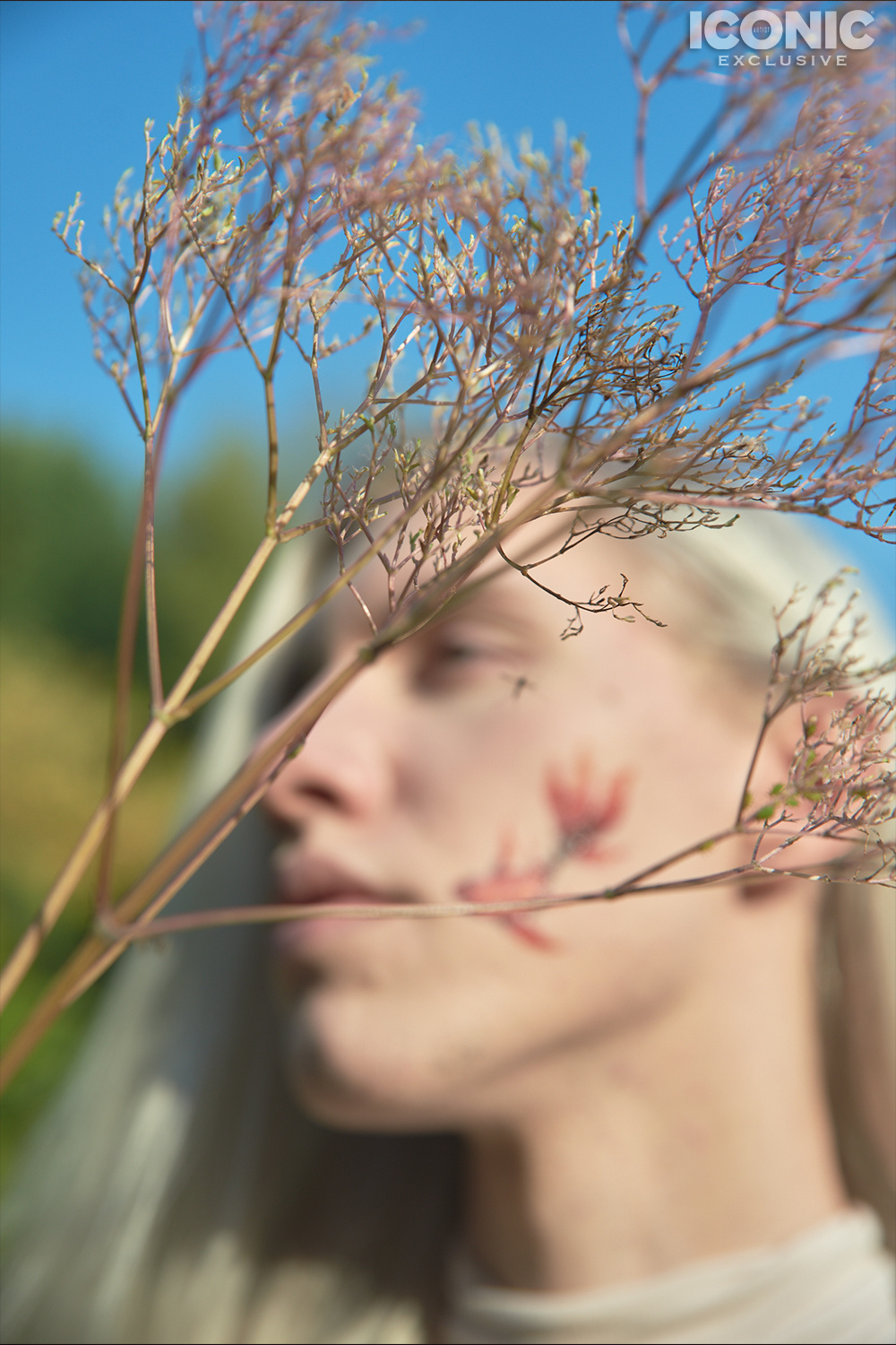 Publication. Фудфотография, предметная съемка, портреты Москва Сульженко Надежда