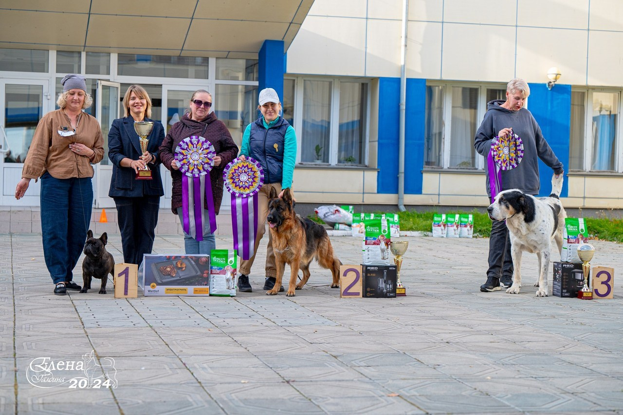Отзывы. Фотограф анималист Елена Галдина г. Красноярск