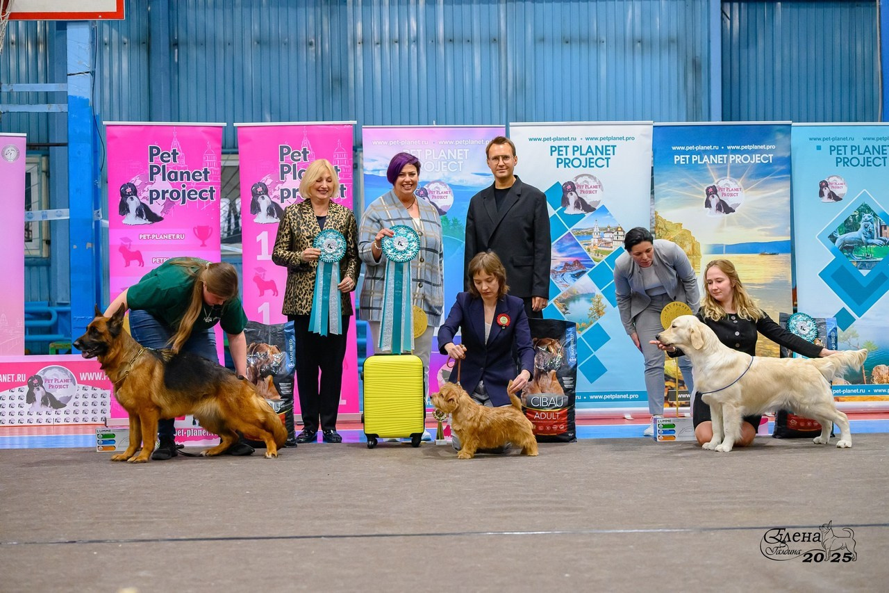 Отзывы. Фотограф анималист Елена Галдина г. Красноярск