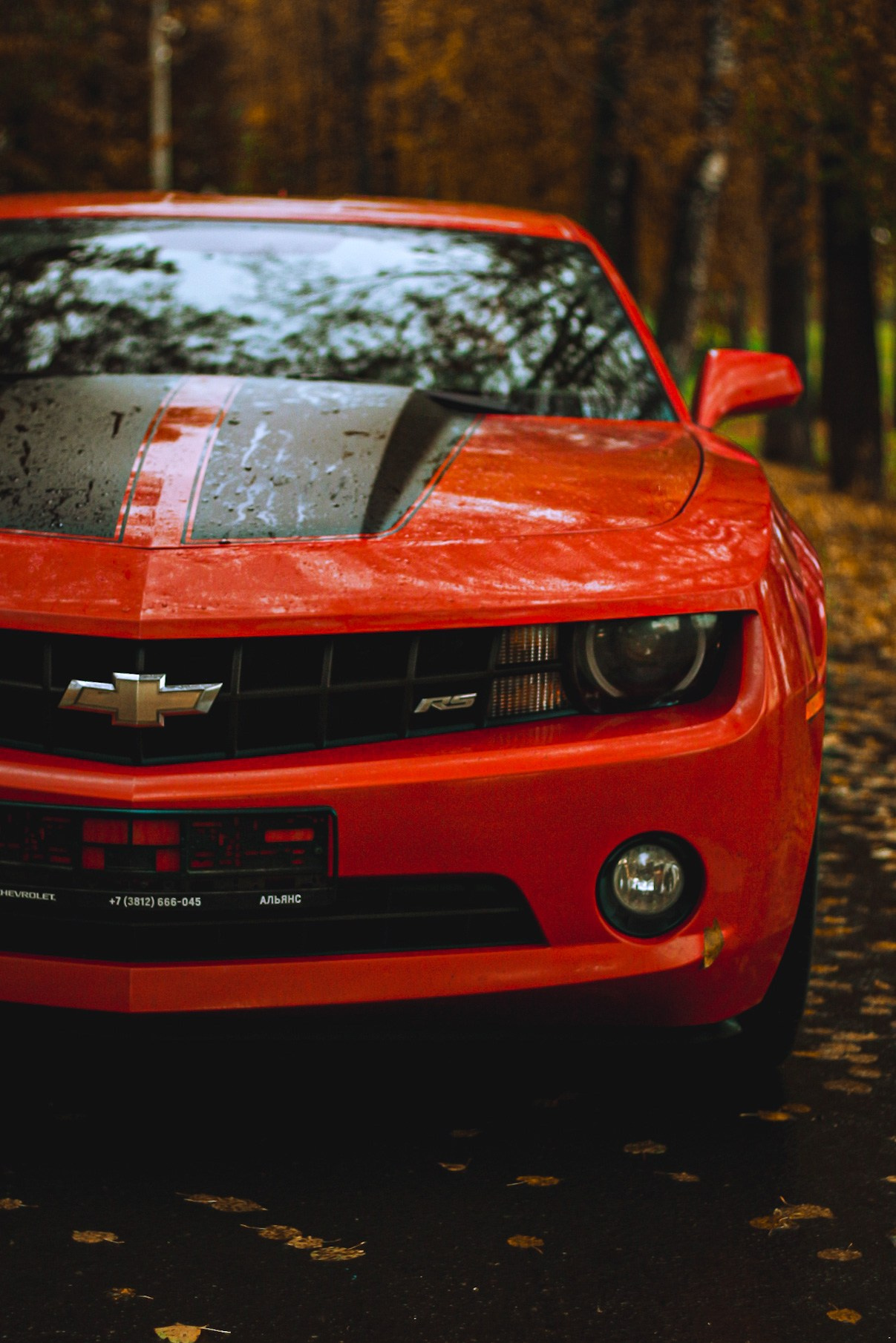 Cars. Фотограф Ксюша Костюченко