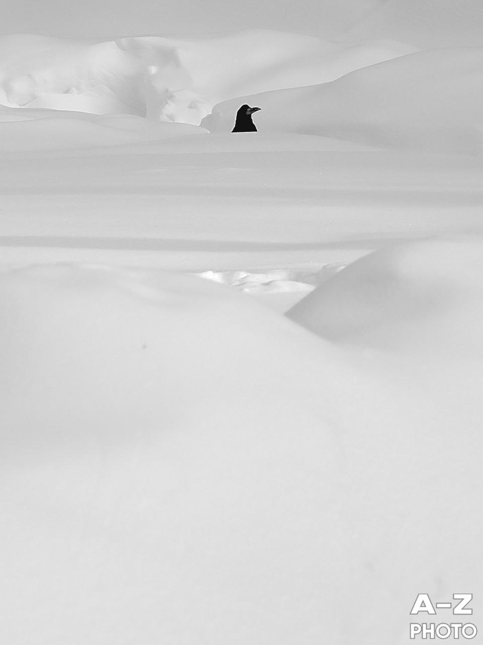 #ФОТОНЕДЕЛИ 09.02.2026. Женский семейный фотограф Тула Москва Захарова Анна