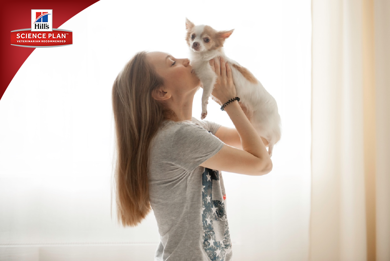 Фотосъёмка для компании Hill`s (2017, перенос со старого сайта). Фотограф собак, фотограф-анималист Аня Титова (Titanya). Москва