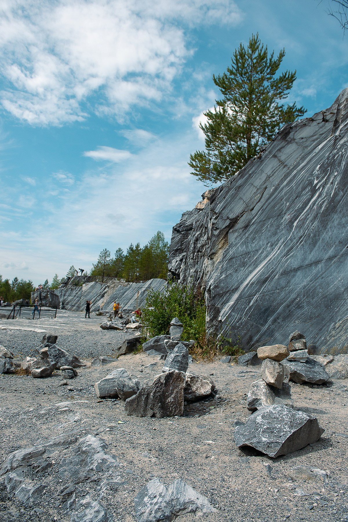 Карелия. Фотограф-анималист Наталья Светличная