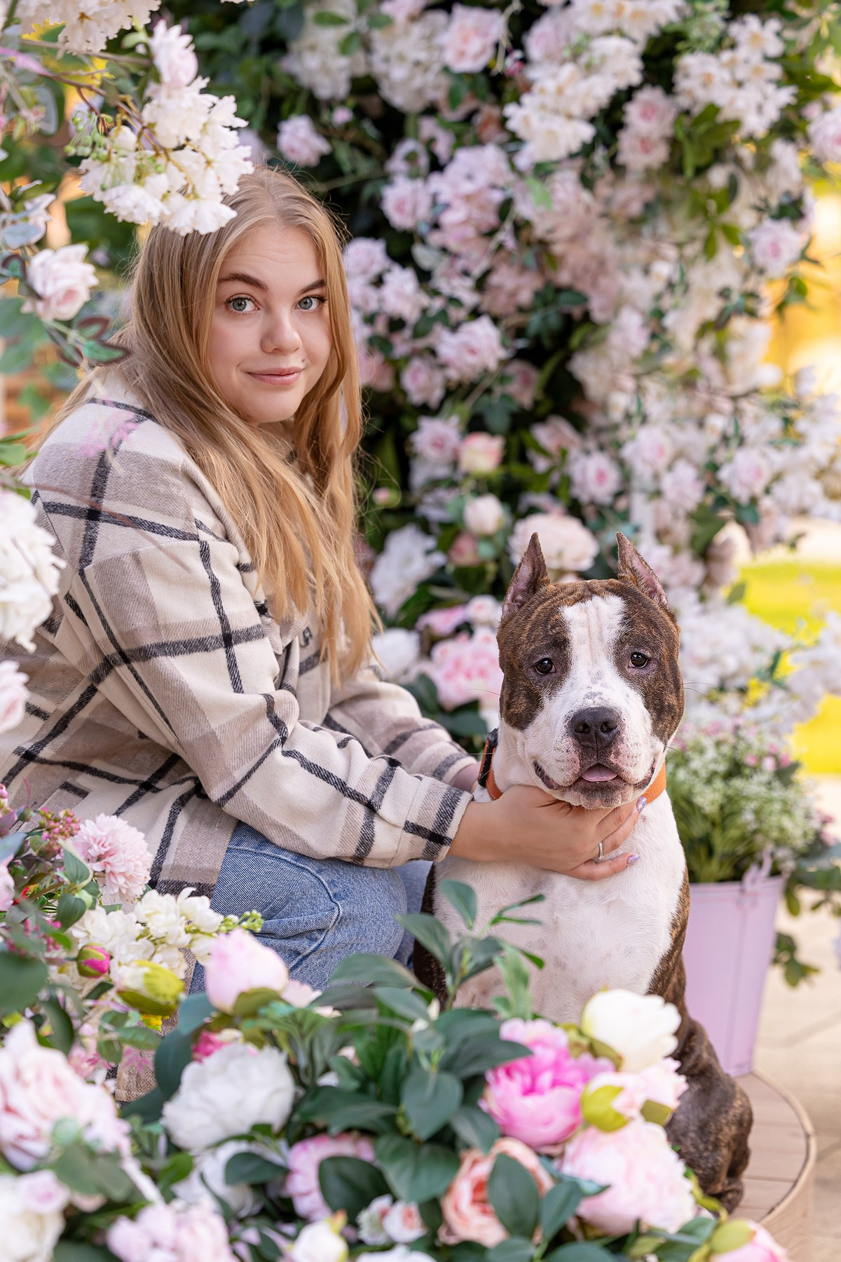 Амстафф Честер и его семья. Фотограф-анималист Natalia Deingel | Фотосъемка собак в Москве