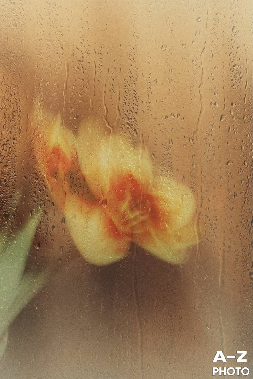 #ФОТОНЕДЕЛИ 23.03.2026. Женский семейный фотограф Тула Москва Захарова Анна