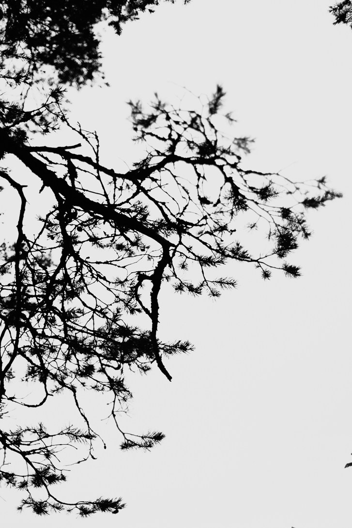 Постер. Lisphoto.ru